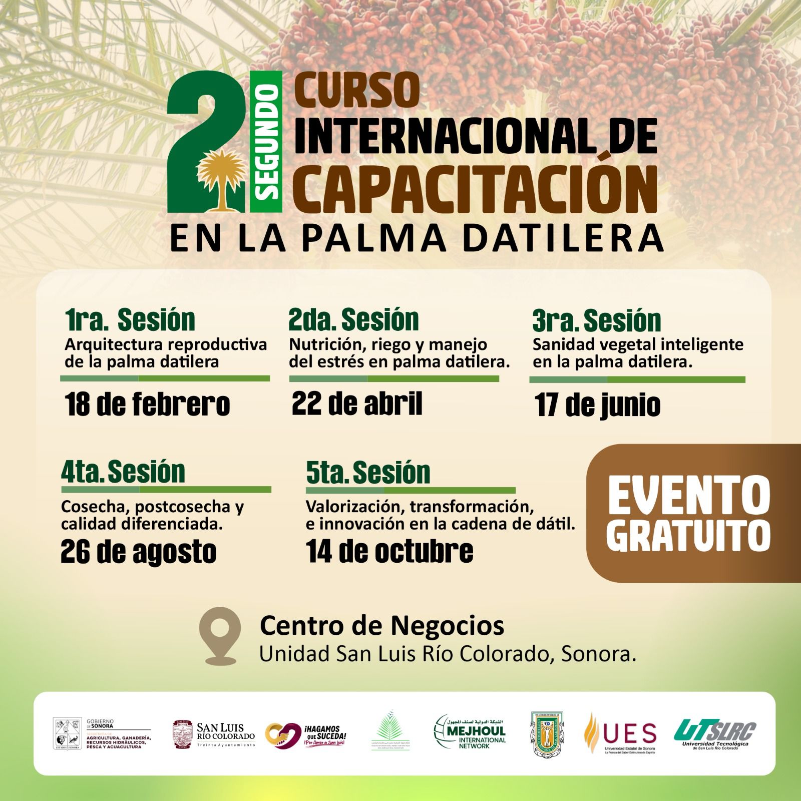 Impulsa Gobierno de Sonora capacitación internacional para fortalecer producción de palma datilera